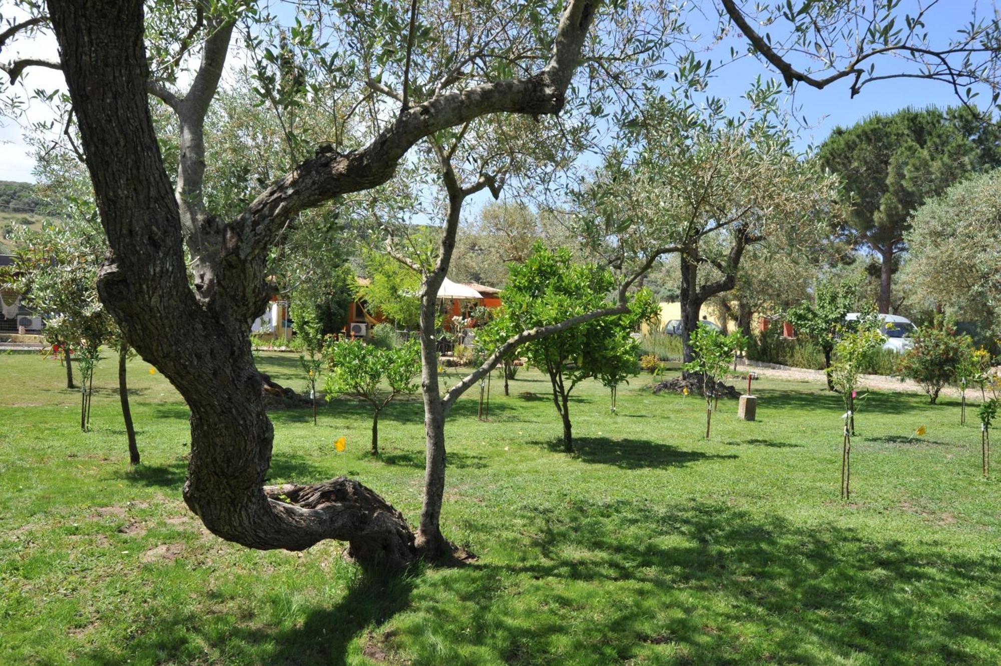 Butterfly House Bed & Breakfast อาลเกโร ภายนอก รูปภาพ